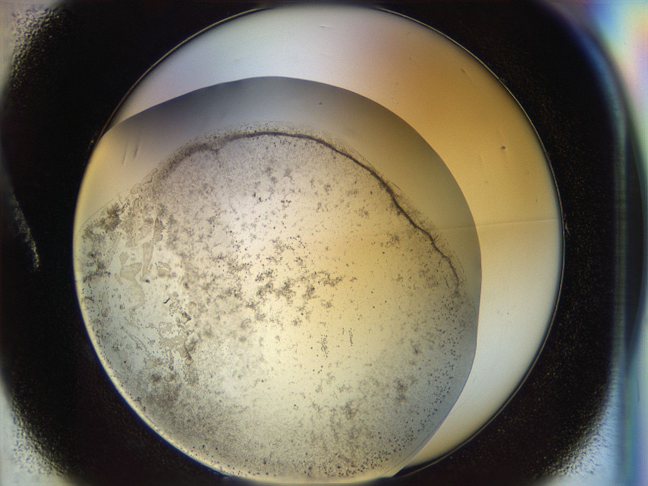 04rr_A1_ImagerDefaults_2.jpg