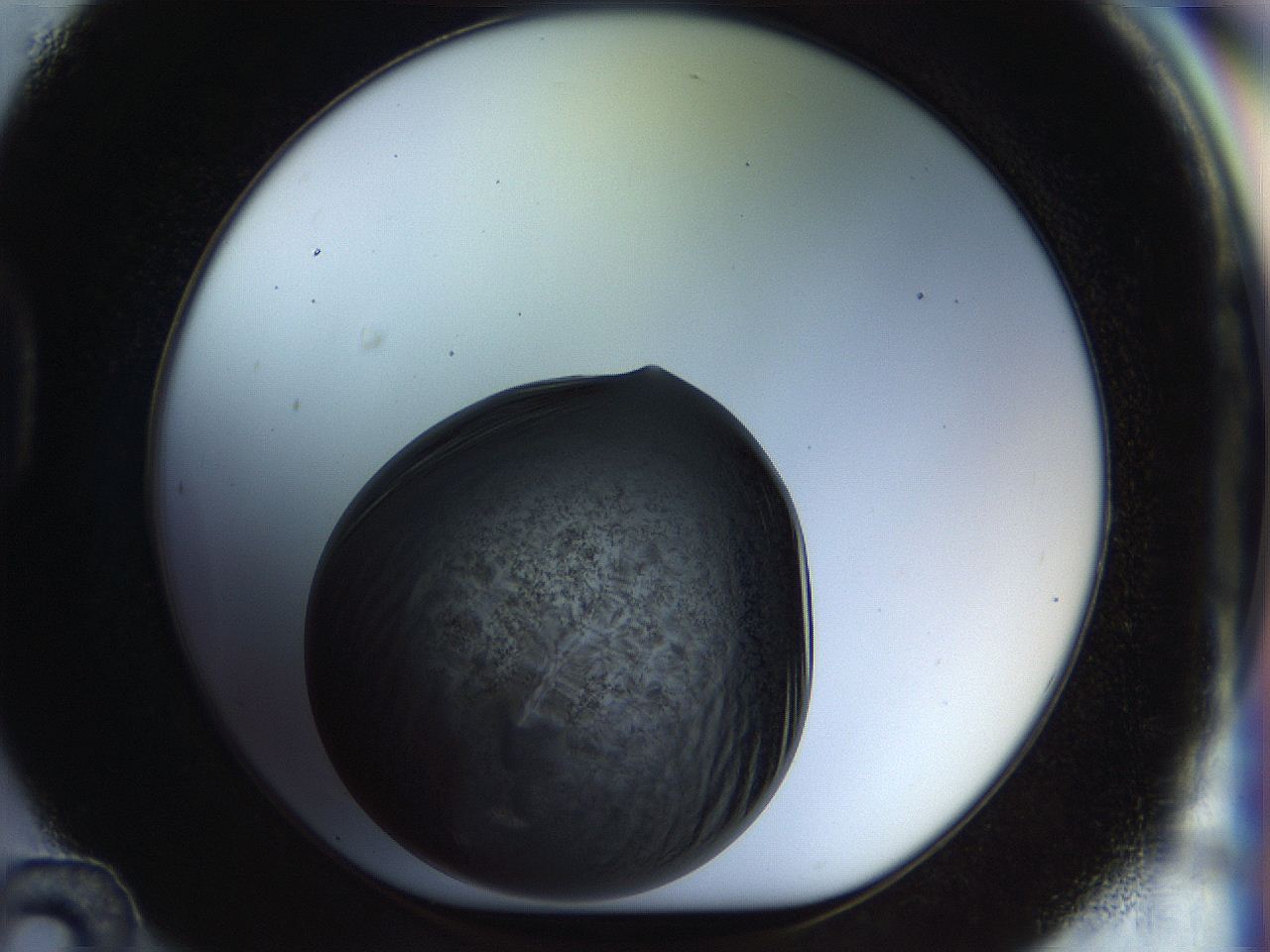 04rr_D12_ImagerDefaults_3.jpg