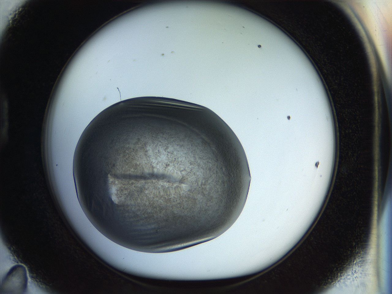 04rr_D11_ImagerDefaults_3.jpg