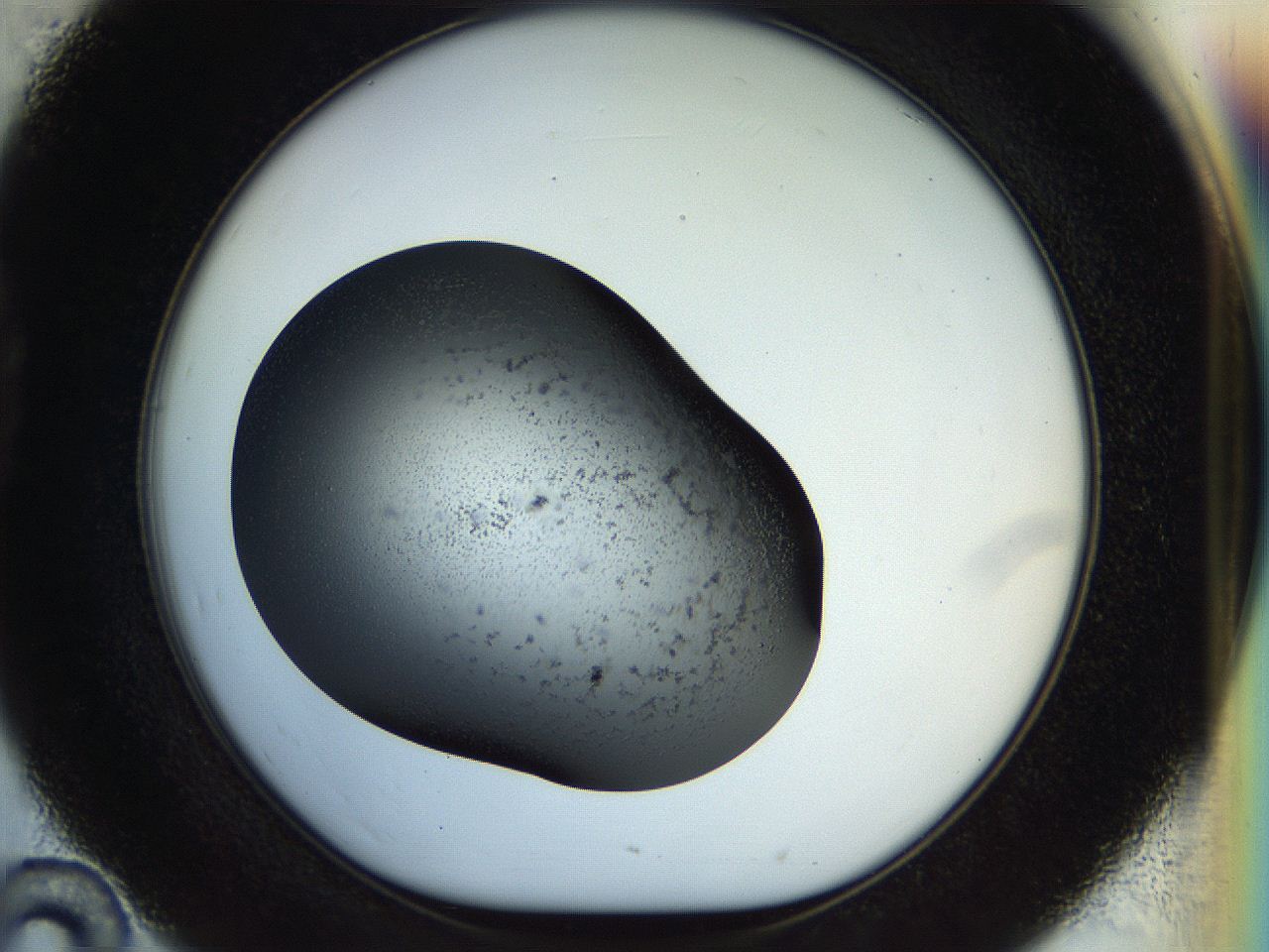 04rr_D10_ImagerDefaults_2.jpg