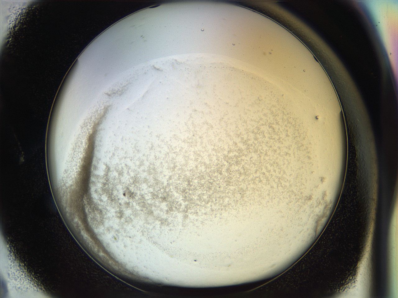 04rr_A8_ImagerDefaults_2.jpg