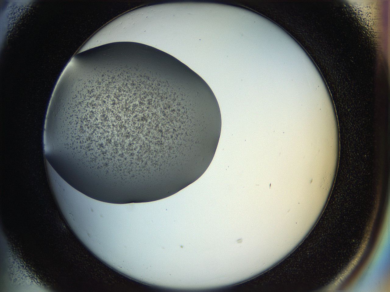 04rr_E5_ImagerDefaults_2.jpg