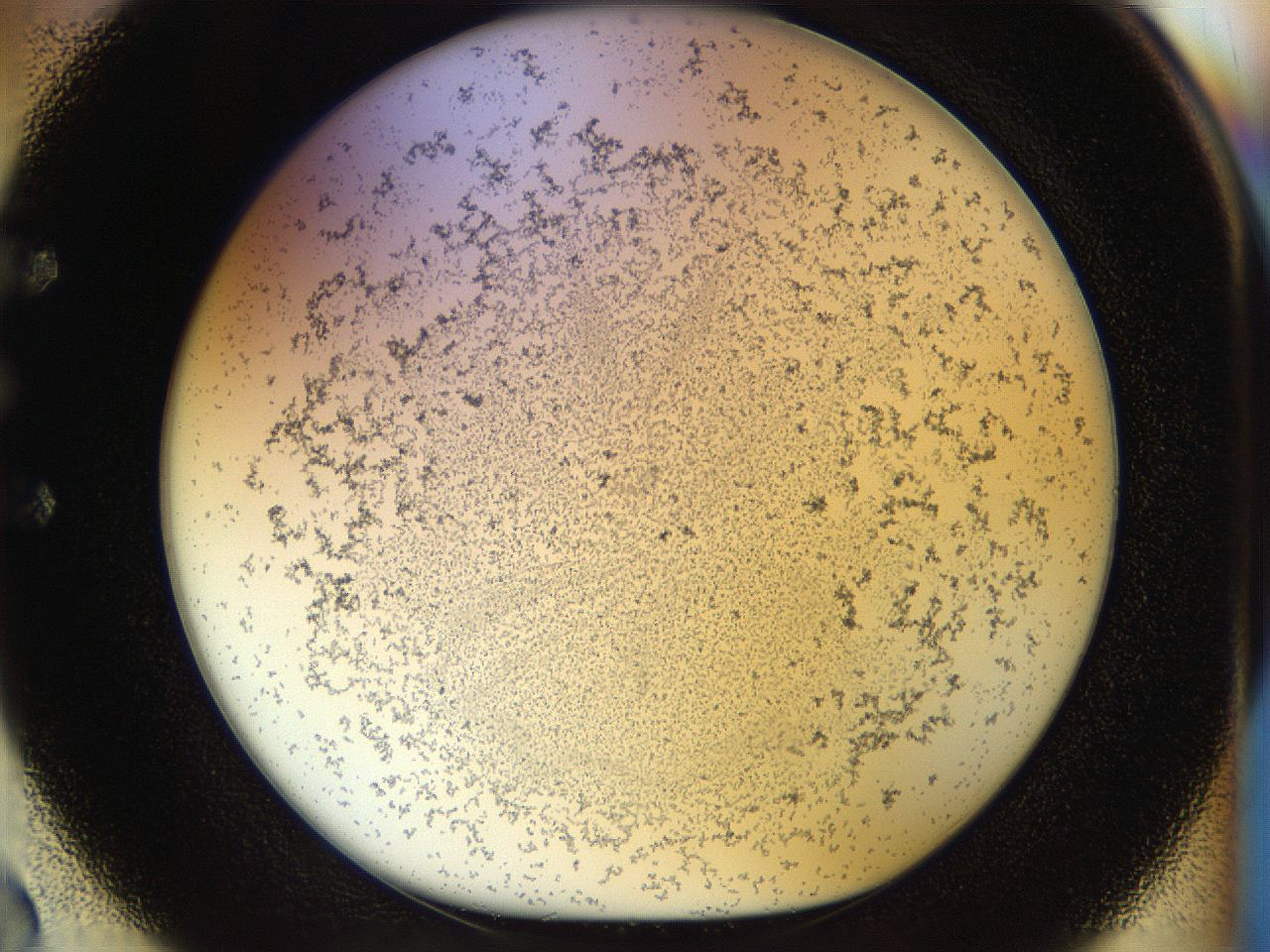04rr_E2_ImagerDefaults_2.jpg