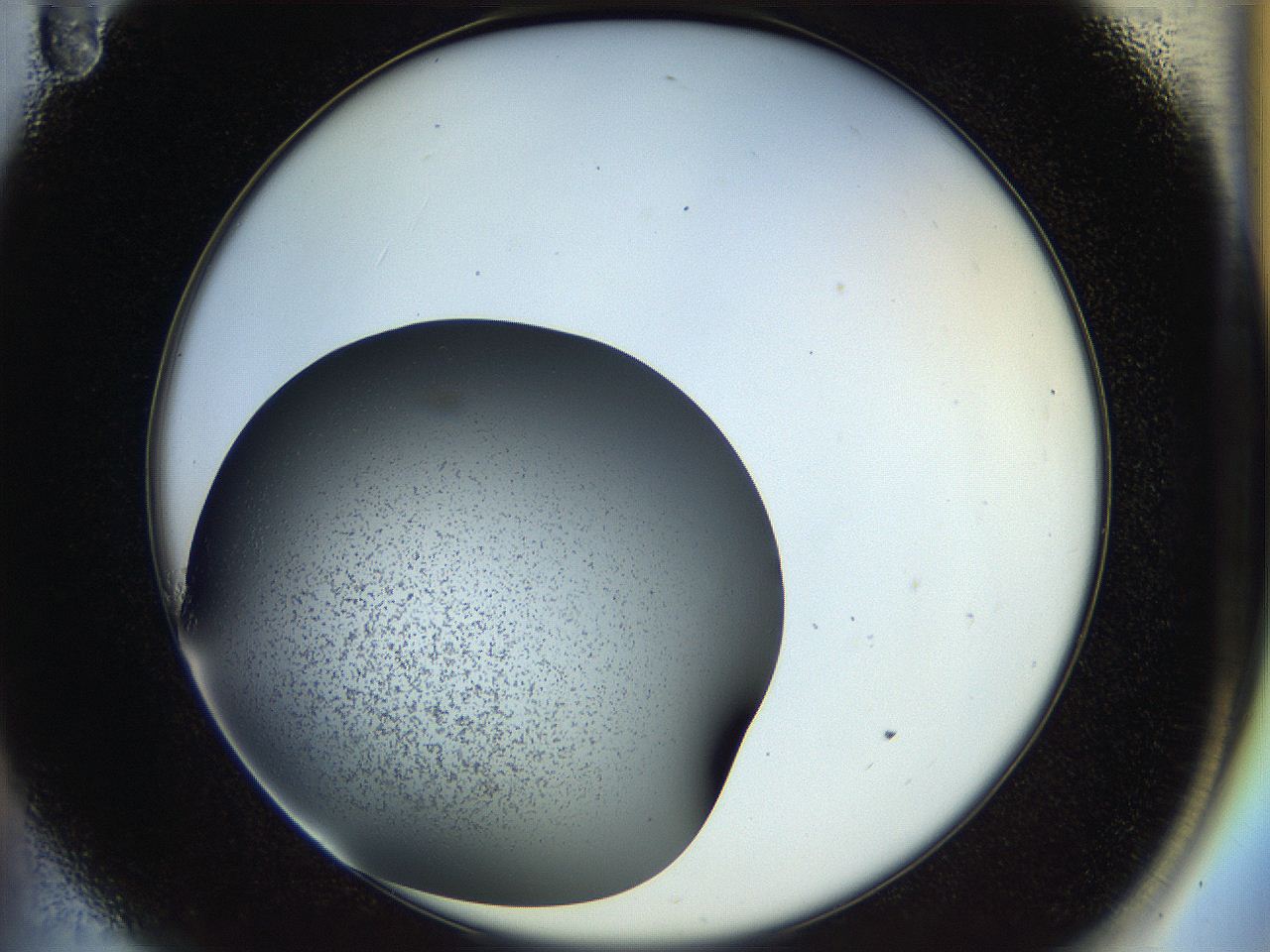 04rr_A11_ImagerDefaults_1.jpg