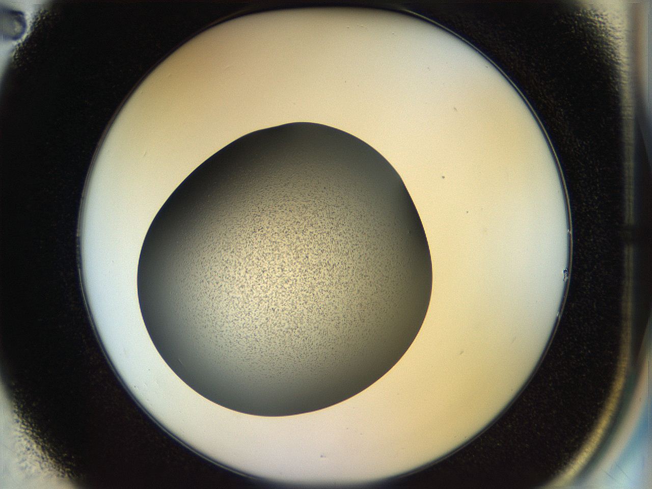04rr_B2_ImagerDefaults_2.jpg