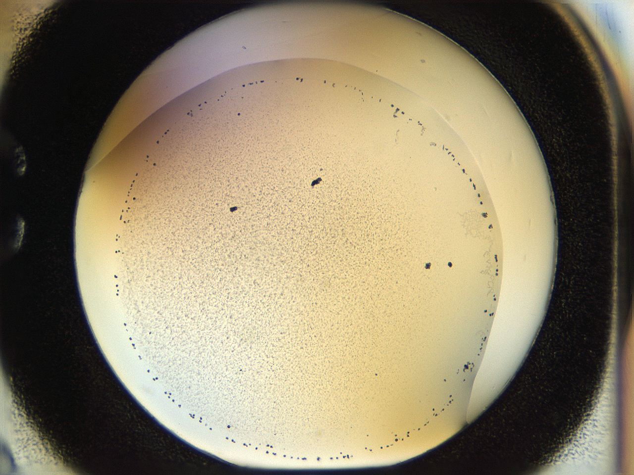 04rr_C2_ImagerDefaults_2.jpg