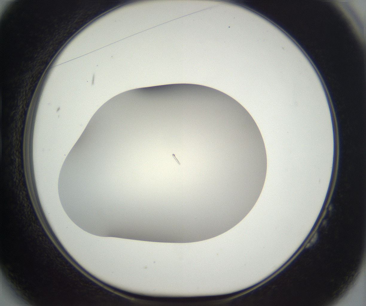 folderID285_plateID3285_batchID18787_wellNum14_profileID1_d1_r289793_ef.jpg