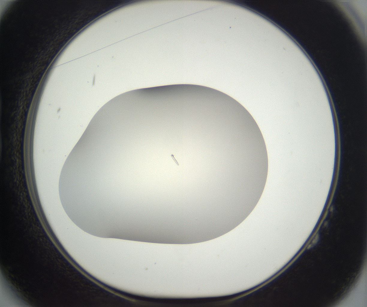 folderID285_plateID3285_batchID18825_wellNum14_profileID1_d1_r289793_ef.jpg