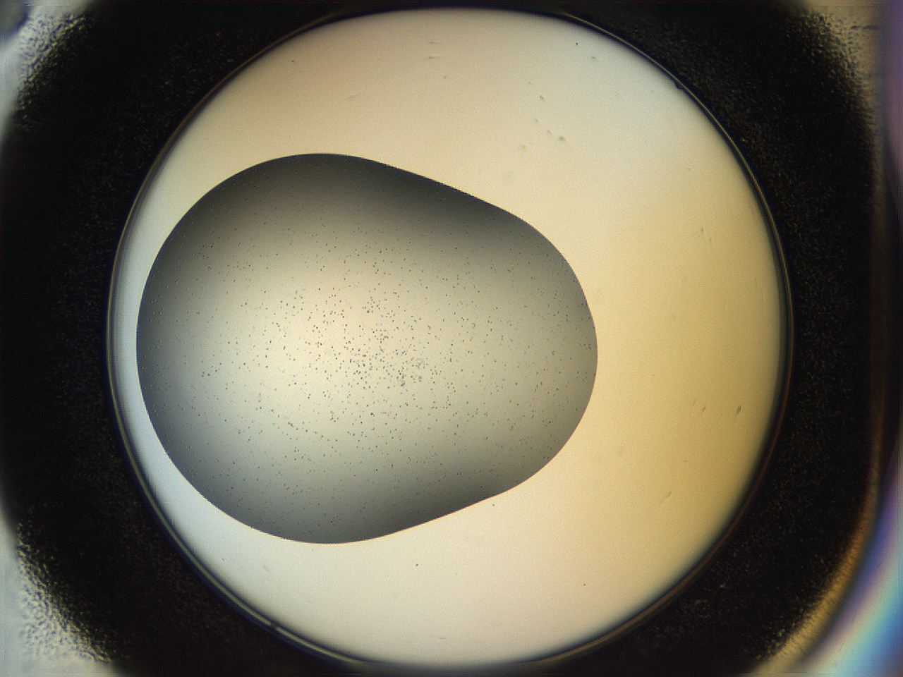 04rr_D3_ImagerDefaults_1.jpg