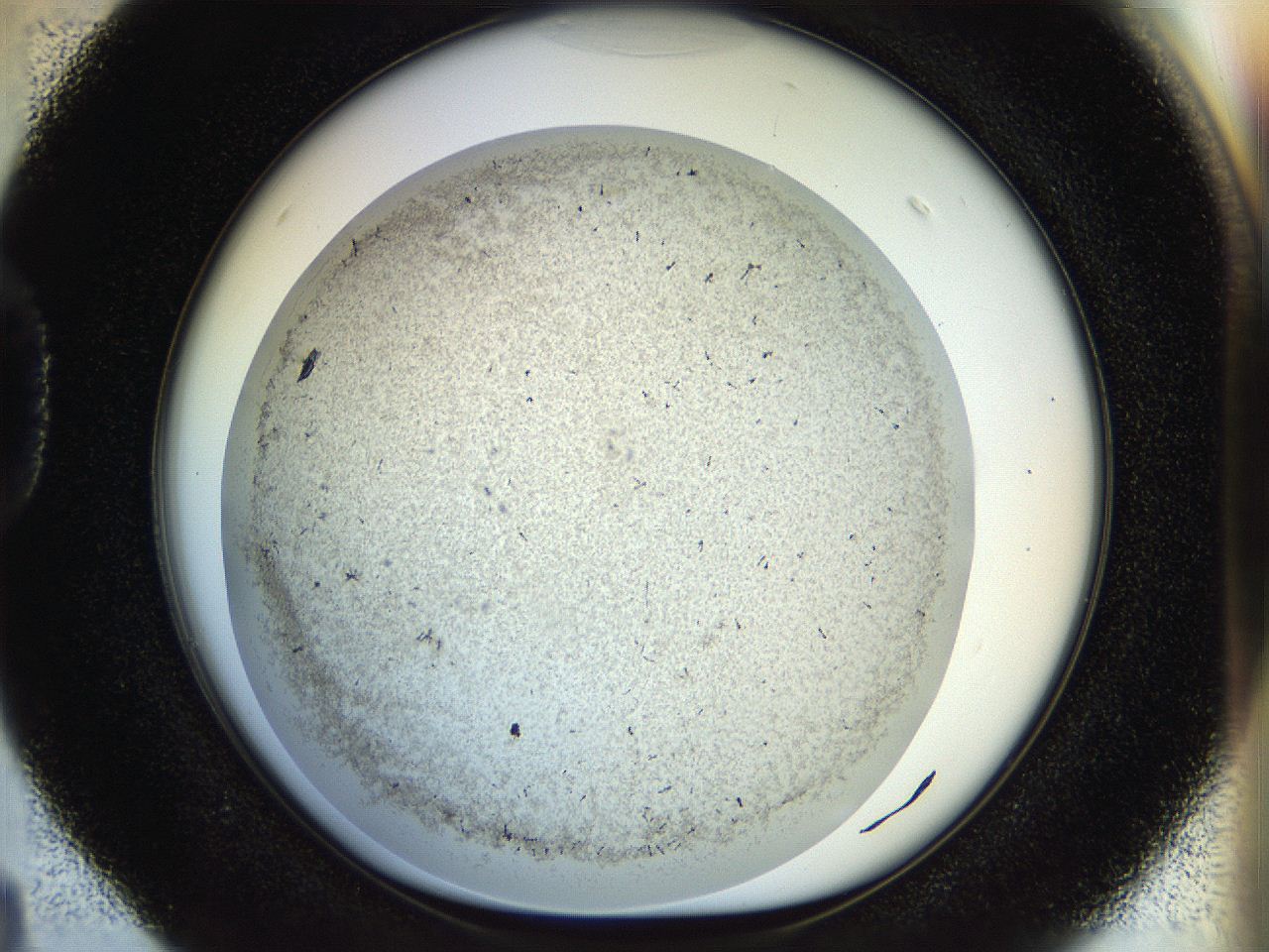 04rr_D4_ImagerDefaults_2.jpg