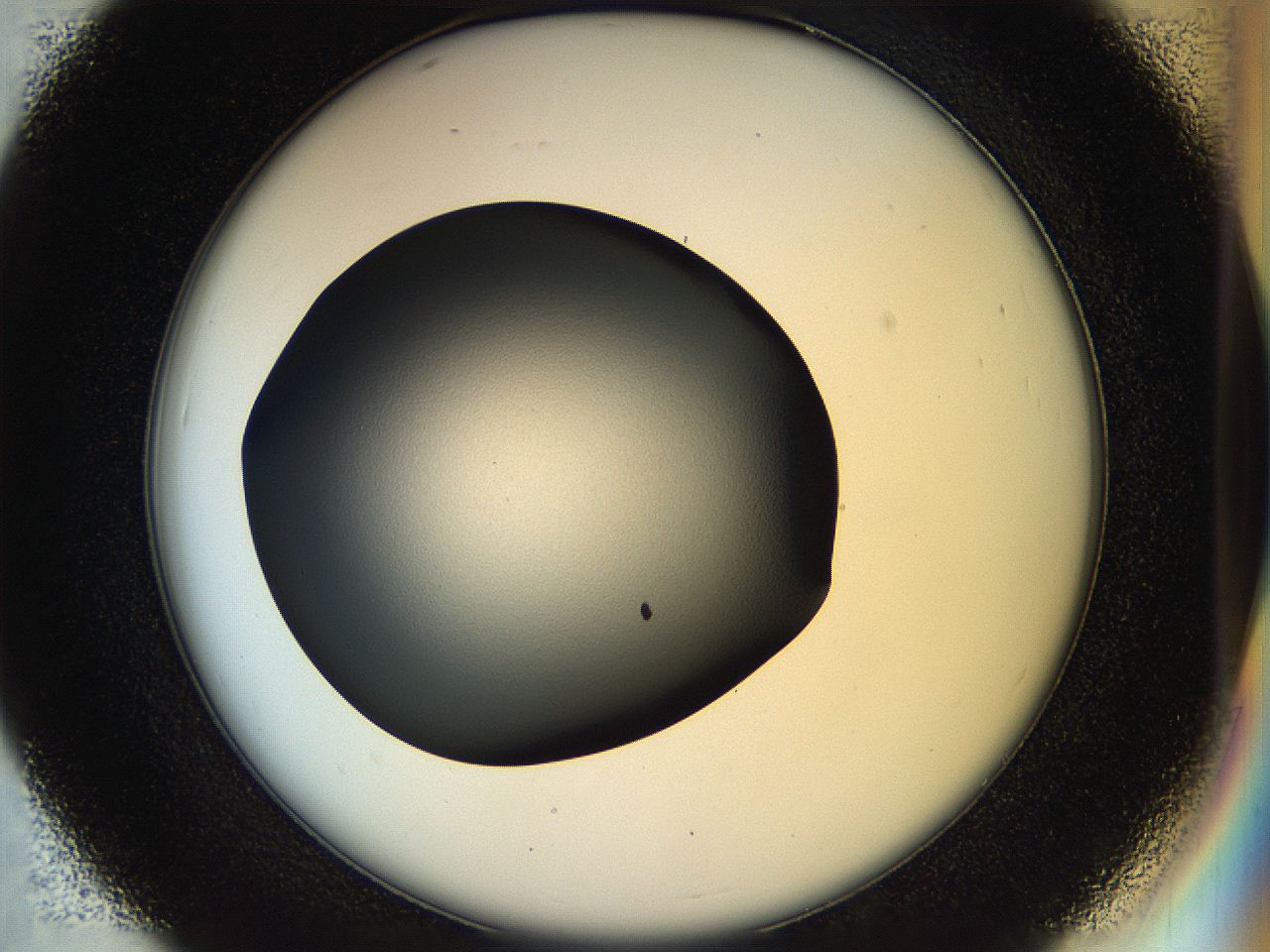 04rr_D7_ImagerDefaults_0.jpg