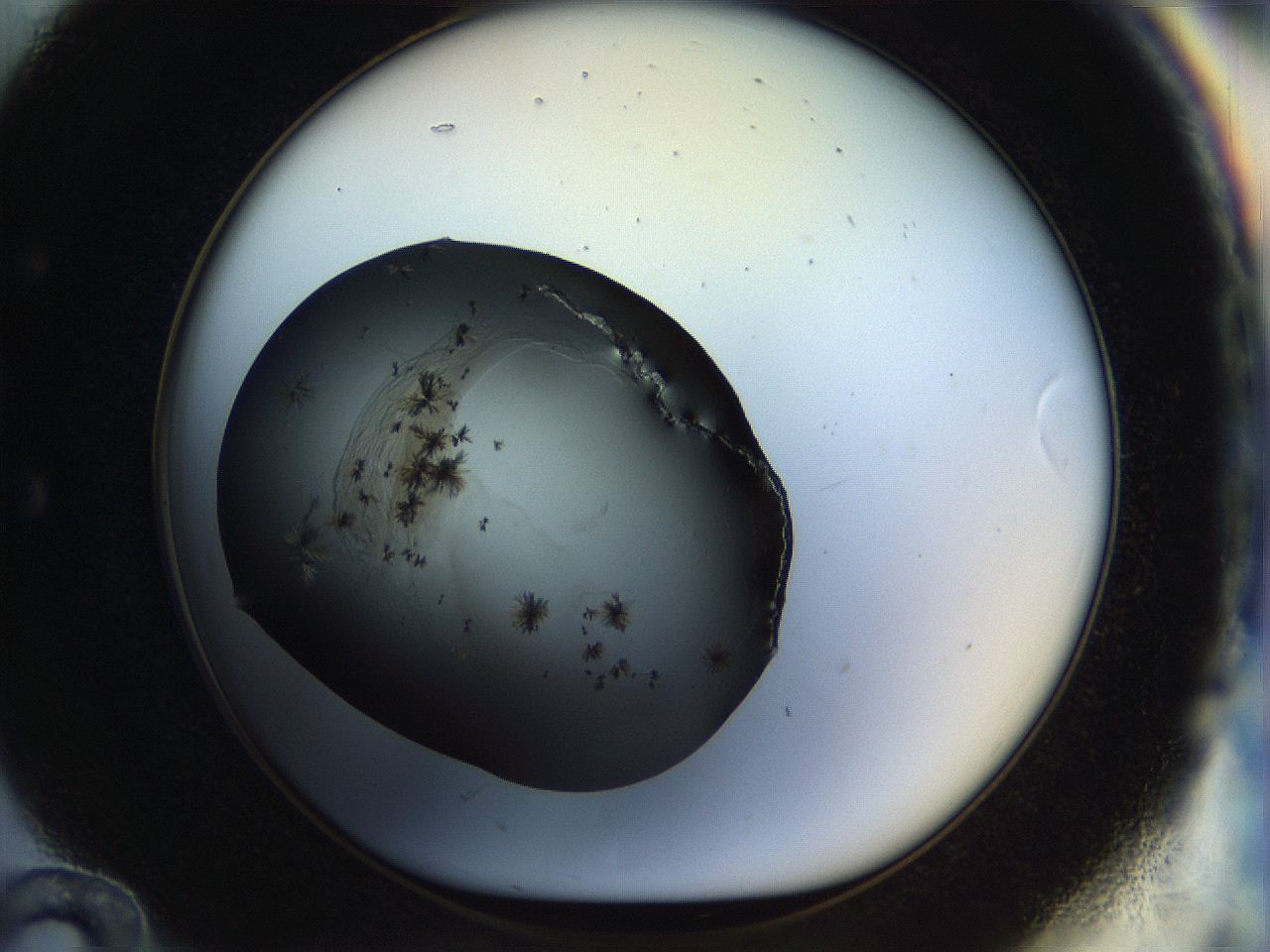 04rr_E12_ImagerDefaults_7.jpg