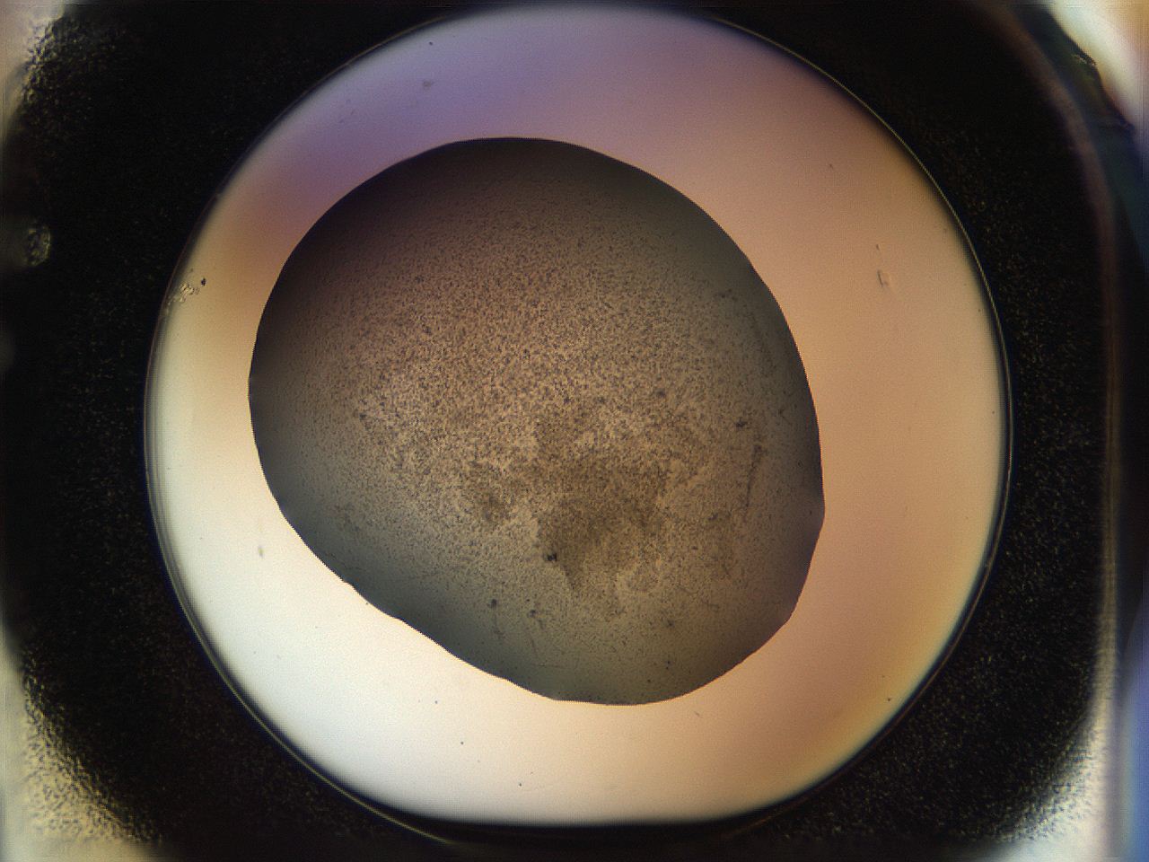 04rr_F1_ImagerDefaults_2.jpg