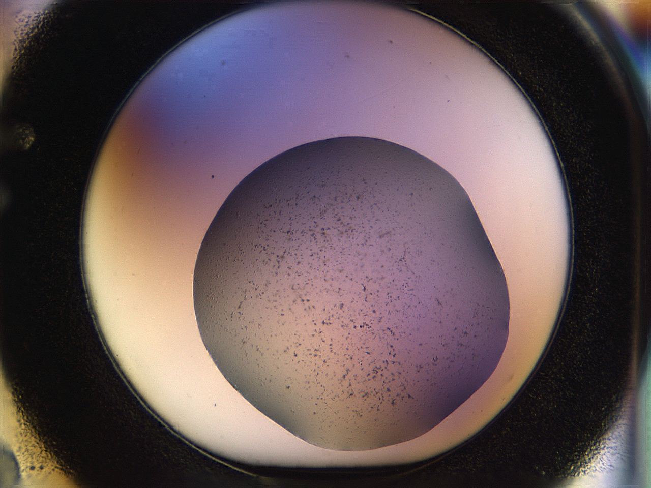 04rr_F2_ImagerDefaults_2.jpg