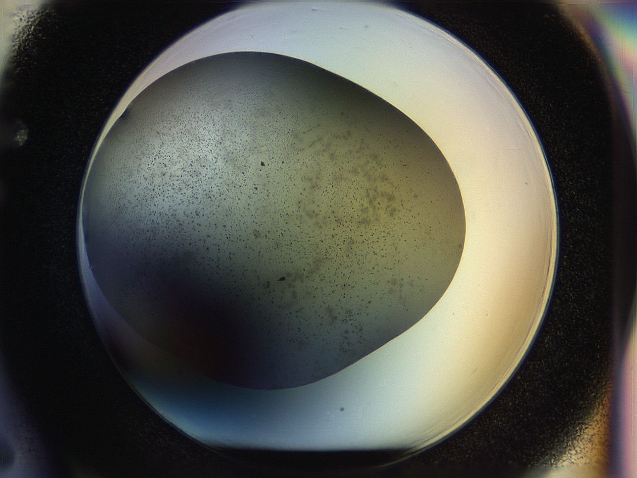 04rr_F6_ImagerDefaults_2.jpg