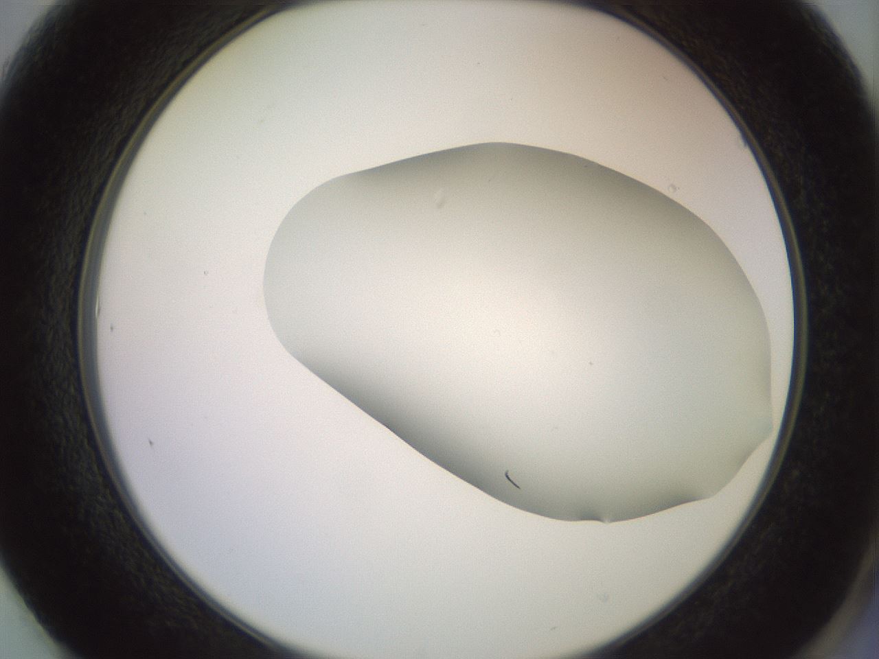 folderID499_plateID3499_batchID20660_wellNum61_profileID1_d2_r312703_ef.jpg