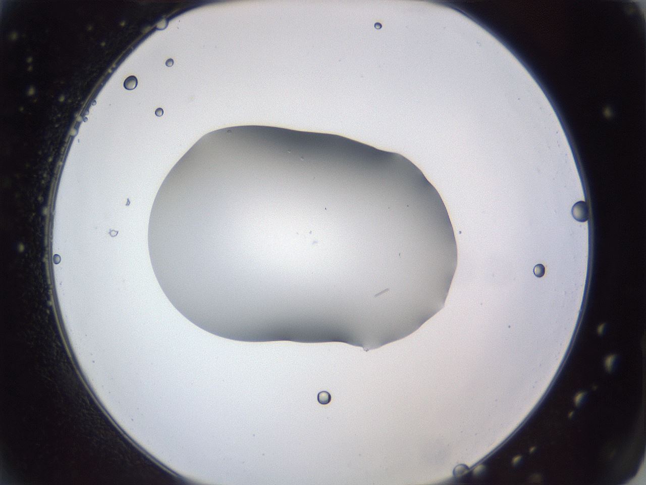 folderID52_plateID1052_batchID2351_wellNum2_profileID1_d2_r47508_ef.jpg