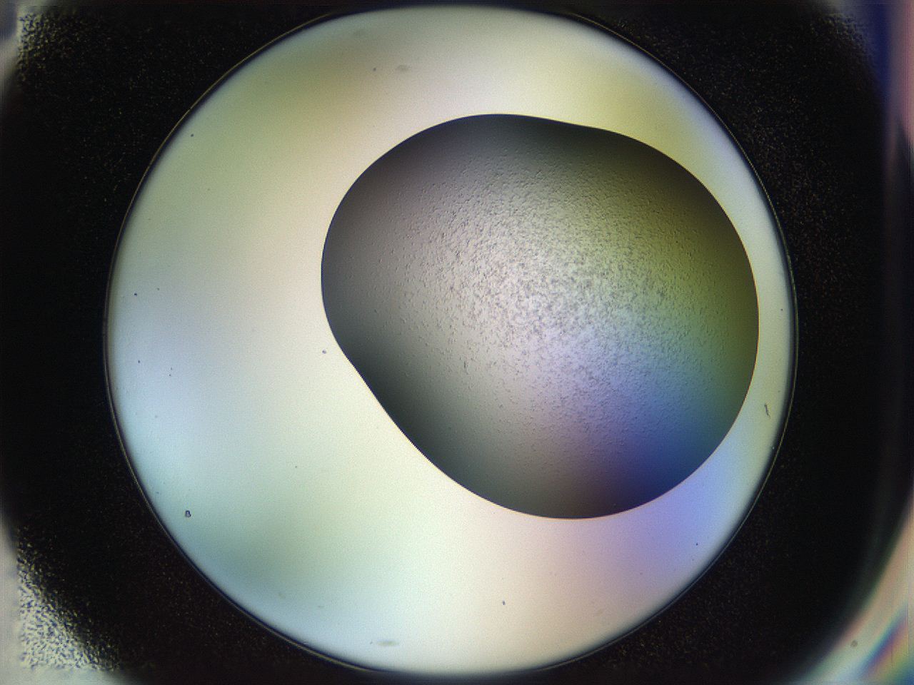 04rr_G4_ImagerDefaults_2.jpg