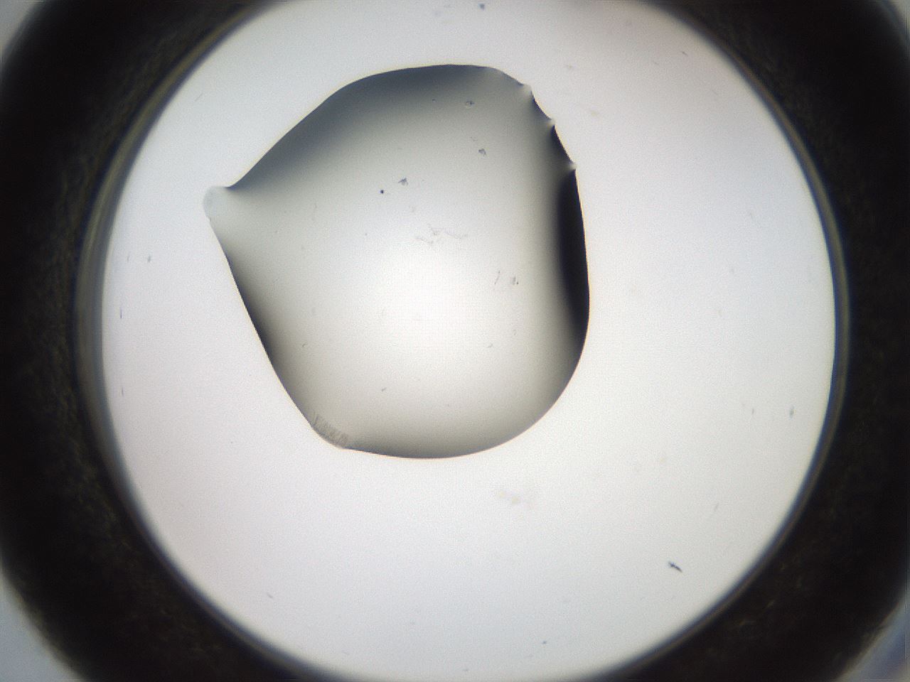 folderID561_plateID2561_batchID12665_wellNum39_profileID1_d2_r195734_ef.jpg