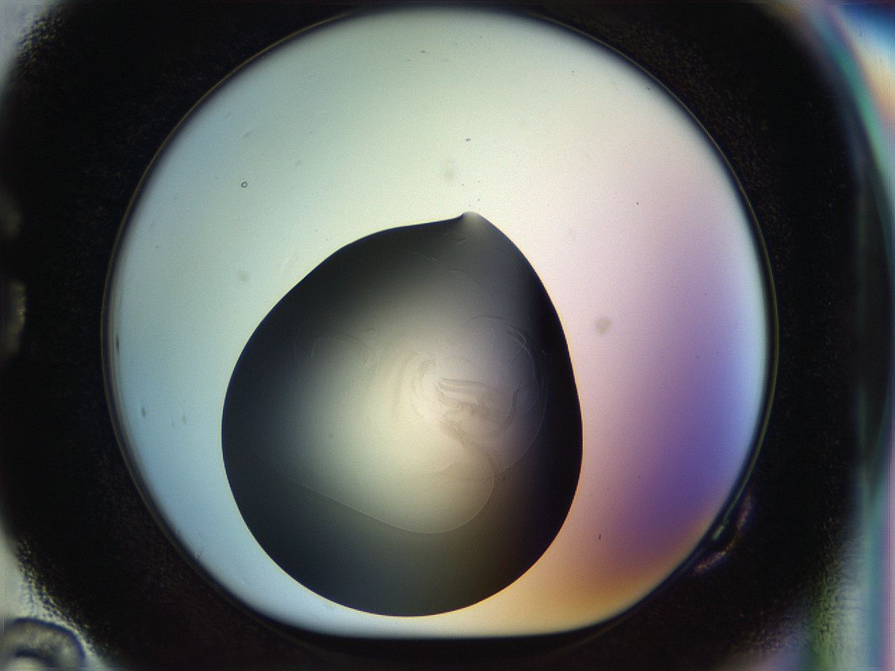 04rr_G10_ImagerDefaults_2.jpg