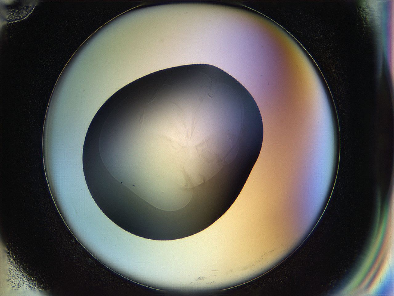 04rr_G10_ImagerDefaults_1.jpg