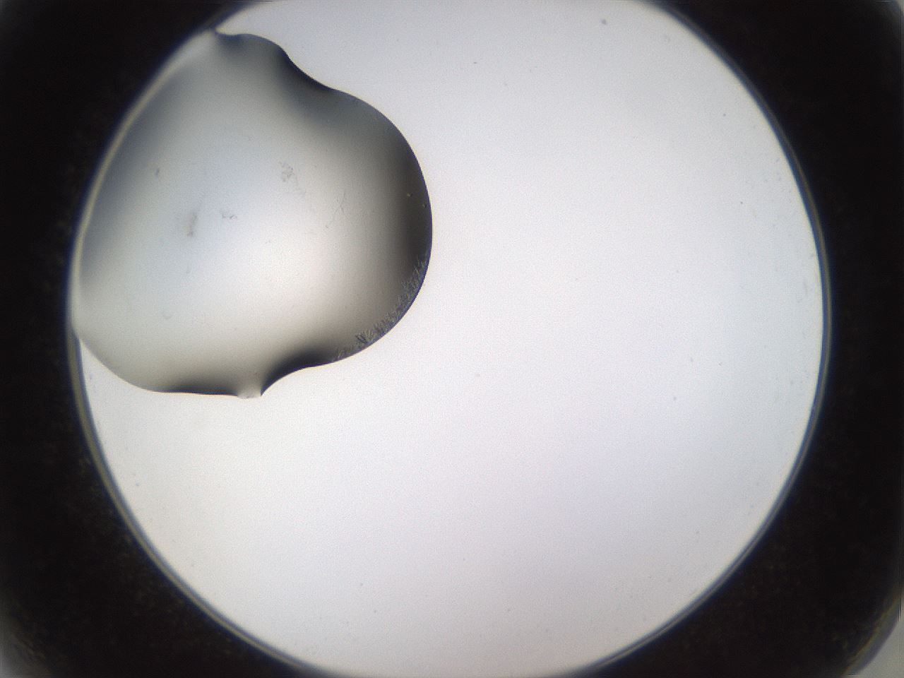 folderID634_plateID2634_batchID12815_wellNum2_profileID1_d2_r209389_ef.jpg