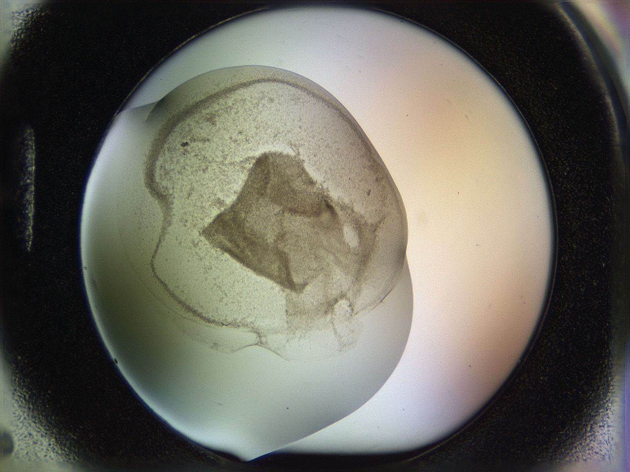 04rr_H5_ImagerDefaults_3.jpg