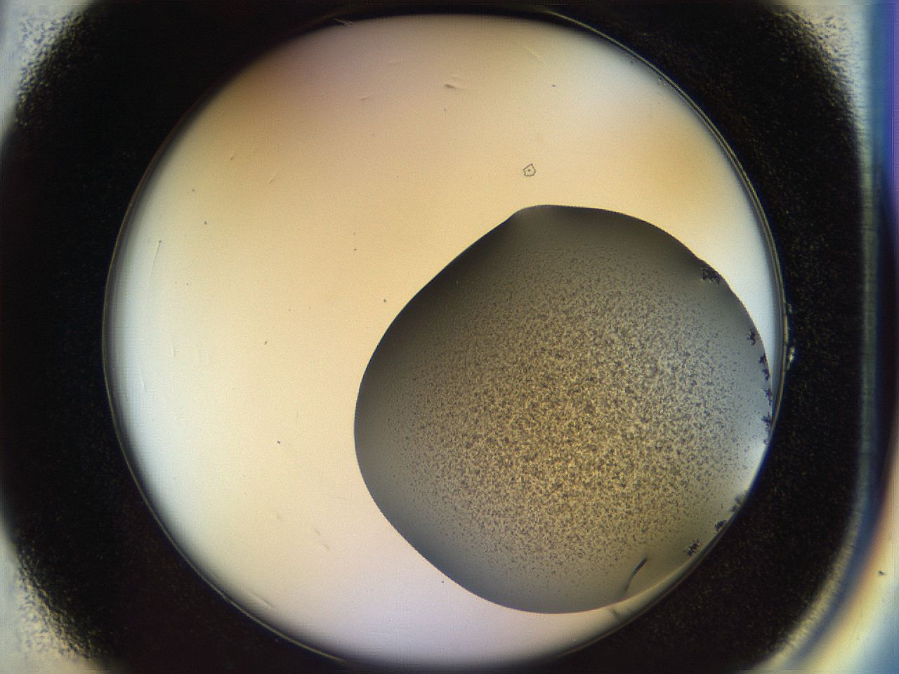 04rs_A1_ImagerDefaults_2.jpg
