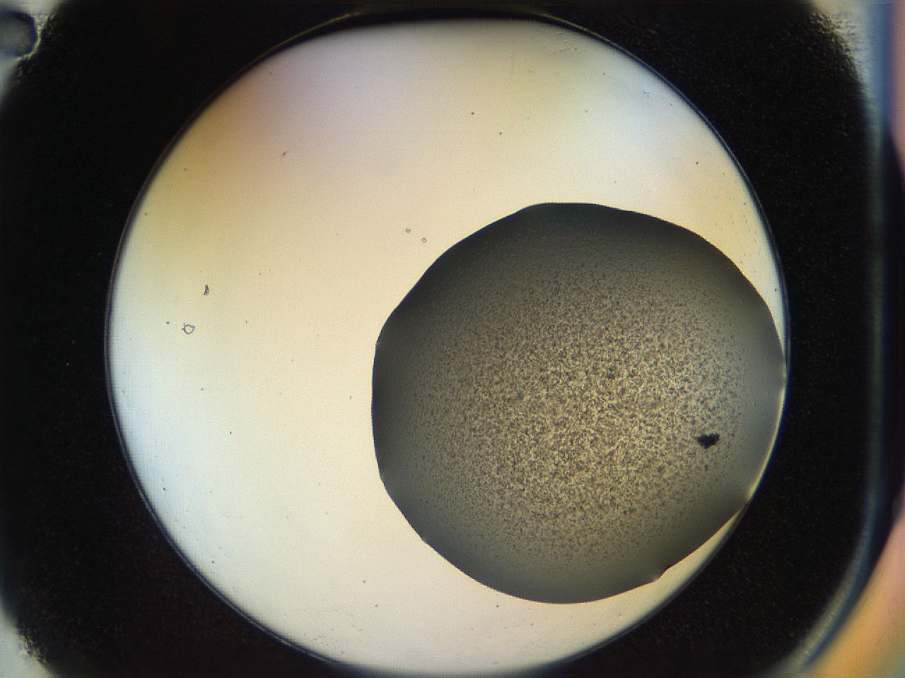 04rs_A2_ImagerDefaults_2.jpg