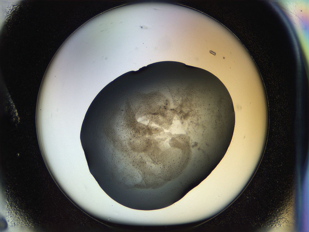 04rs_A6_ImagerDefaults_3.jpg