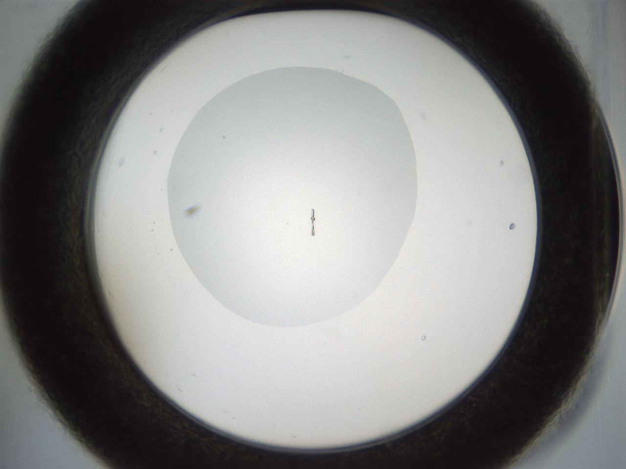 folderID860_plateID860_batchID1012_wellNum19_profileID1_d2_r30388_ef.jpg
