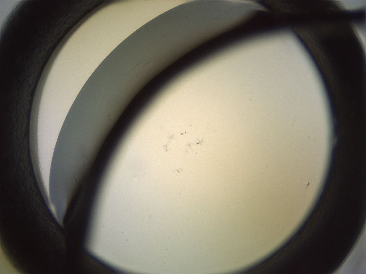 folderID914_plateID1914_batchID8292_wellNum1_profileID1_d2_r127711_ef.jpg