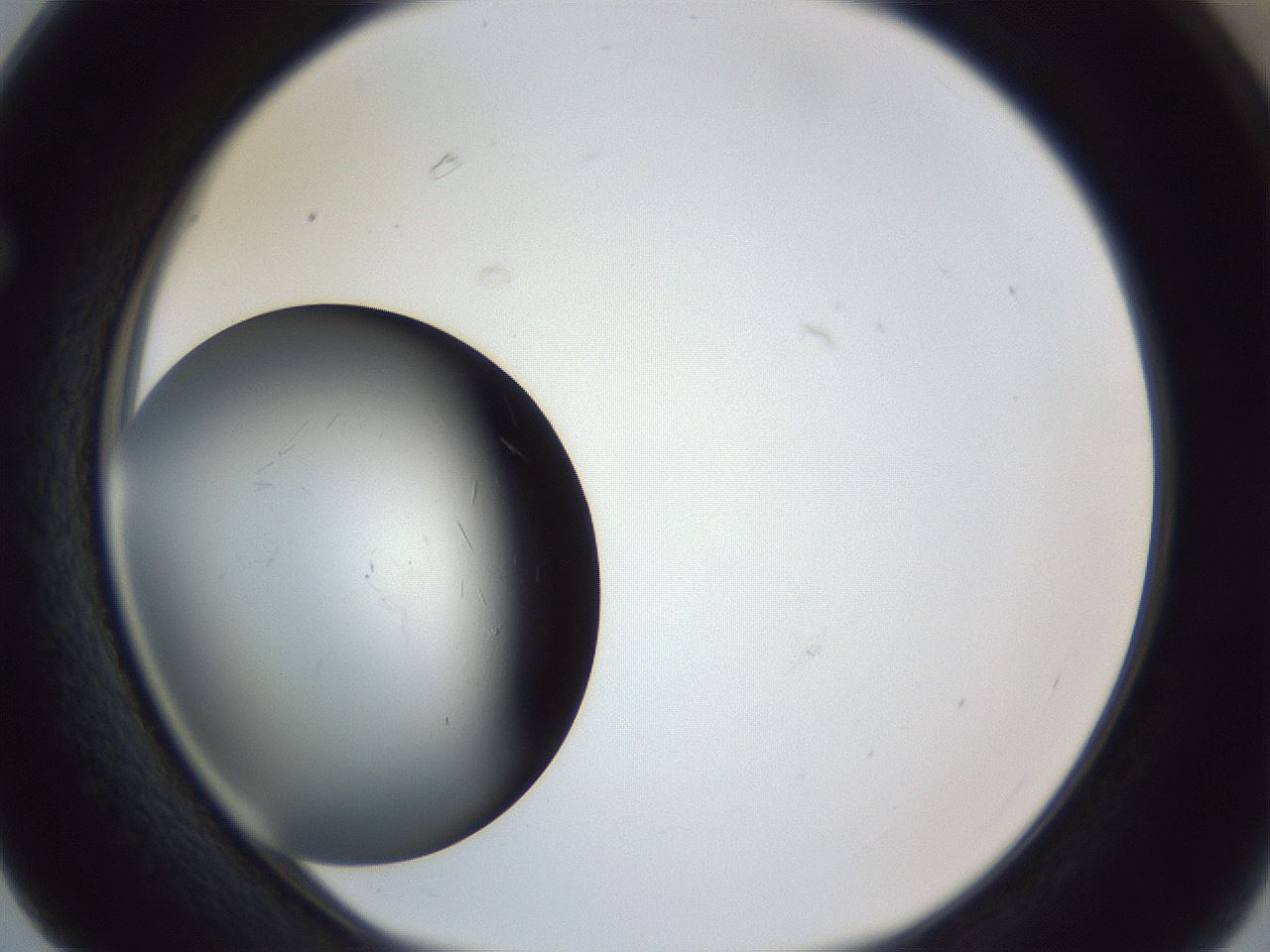 folderID944_plateID944_batchID1308_wellNum63_profileID1_d1_r35681_ef.jpg