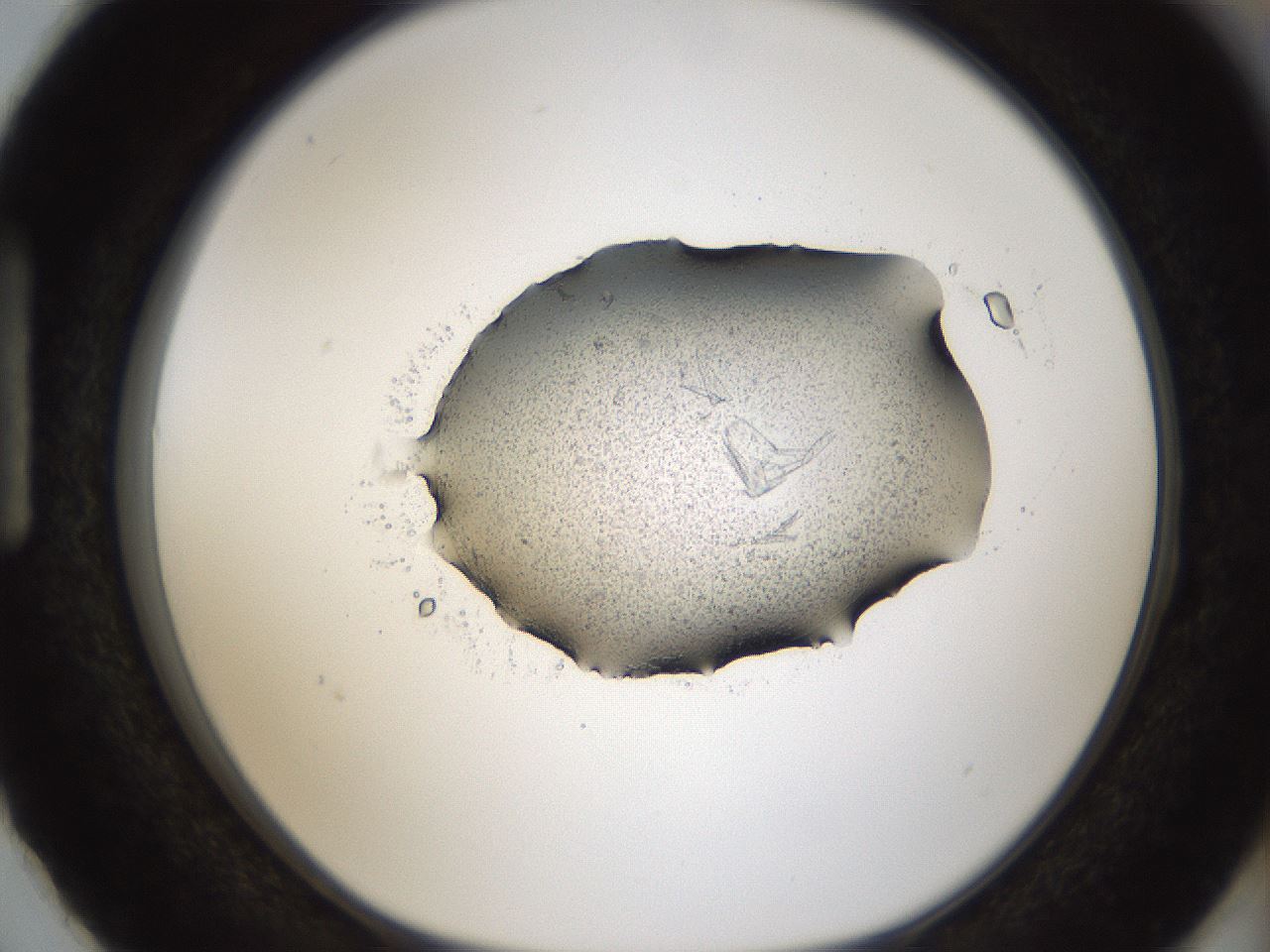 folderID101_plateID2101_batchID9283_wellNum87_profileID1_d1_r140384_ef.jpg