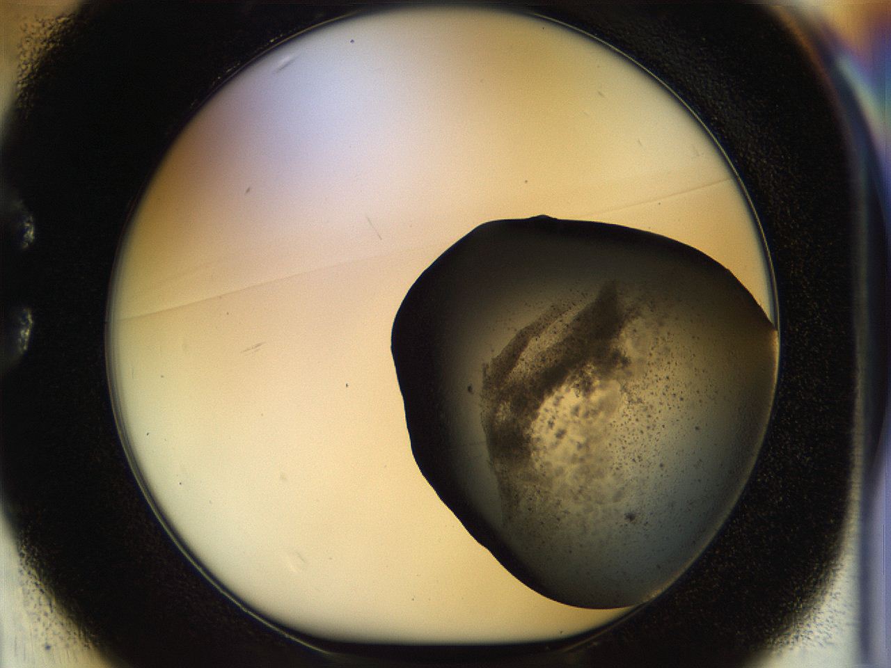 04rs_C1_ImagerDefaults_3.jpg