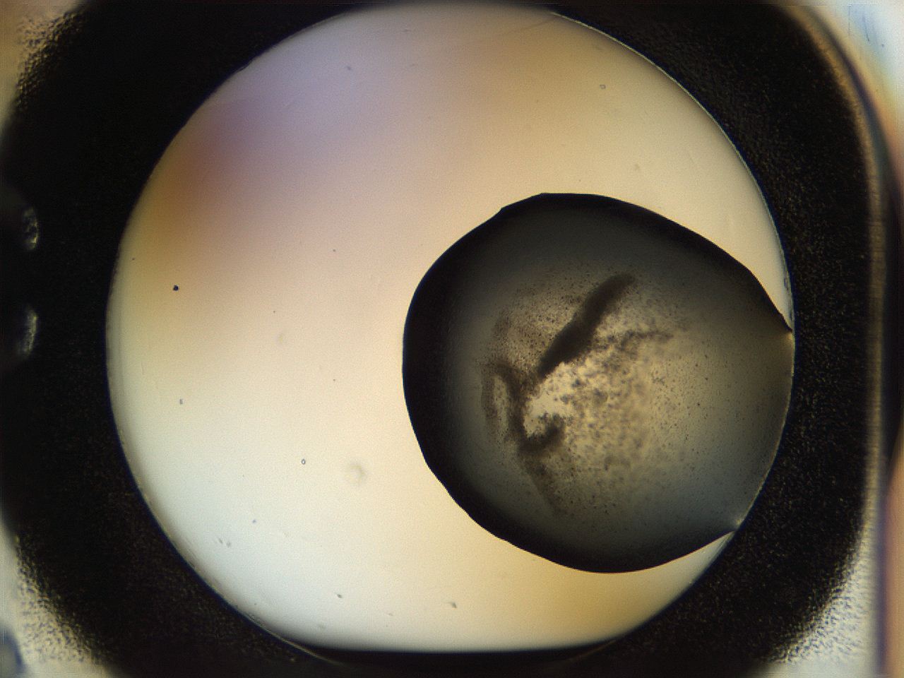 04rs_C2_ImagerDefaults_3.jpg