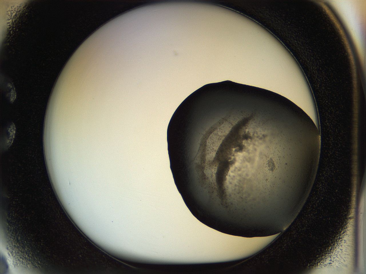 04rs_C3_ImagerDefaults_3.jpg