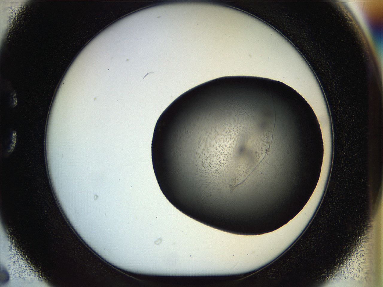 04rs_C6_ImagerDefaults_3.jpg