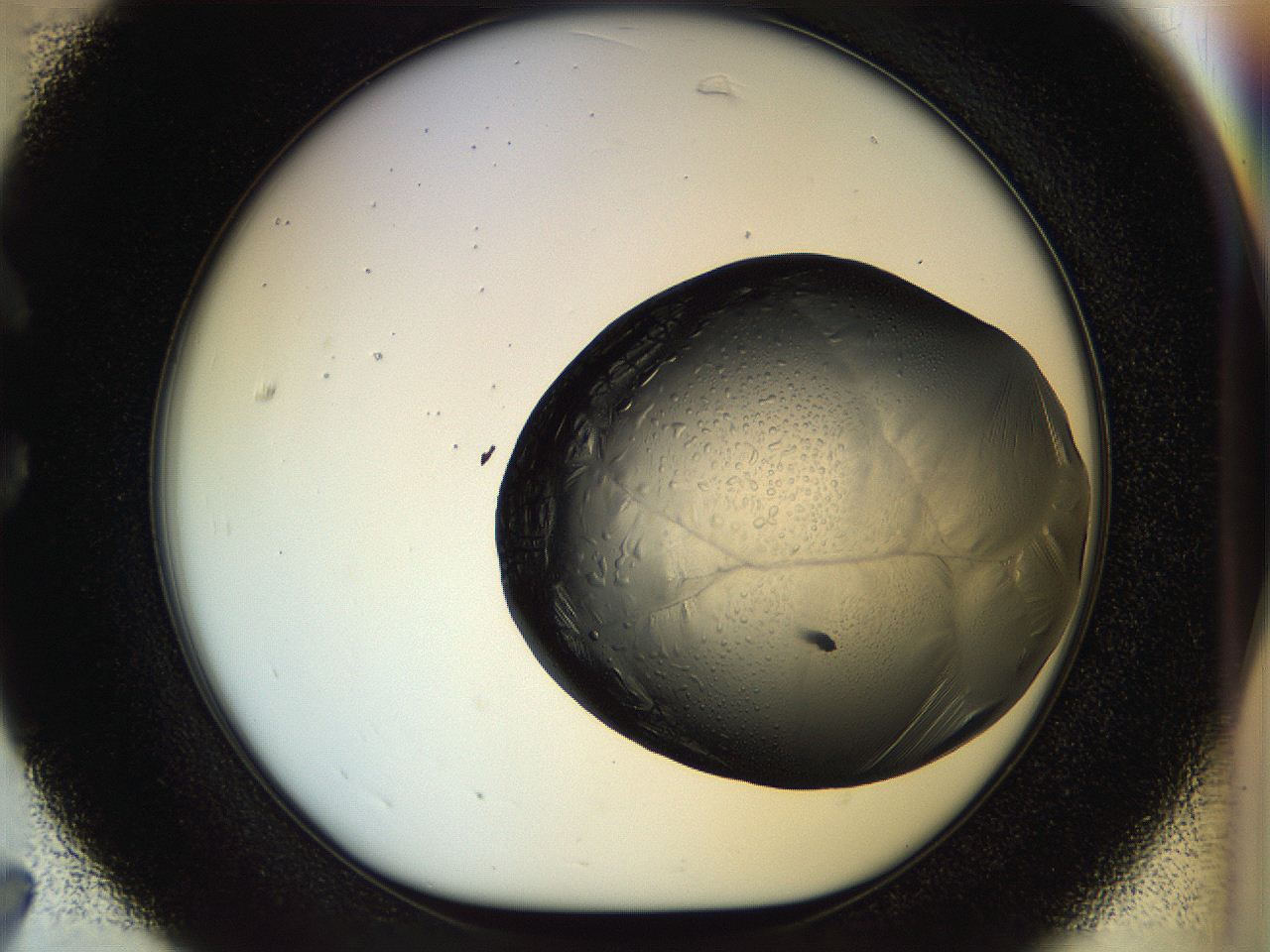 04rs_C7_ImagerDefaults_3.jpg
