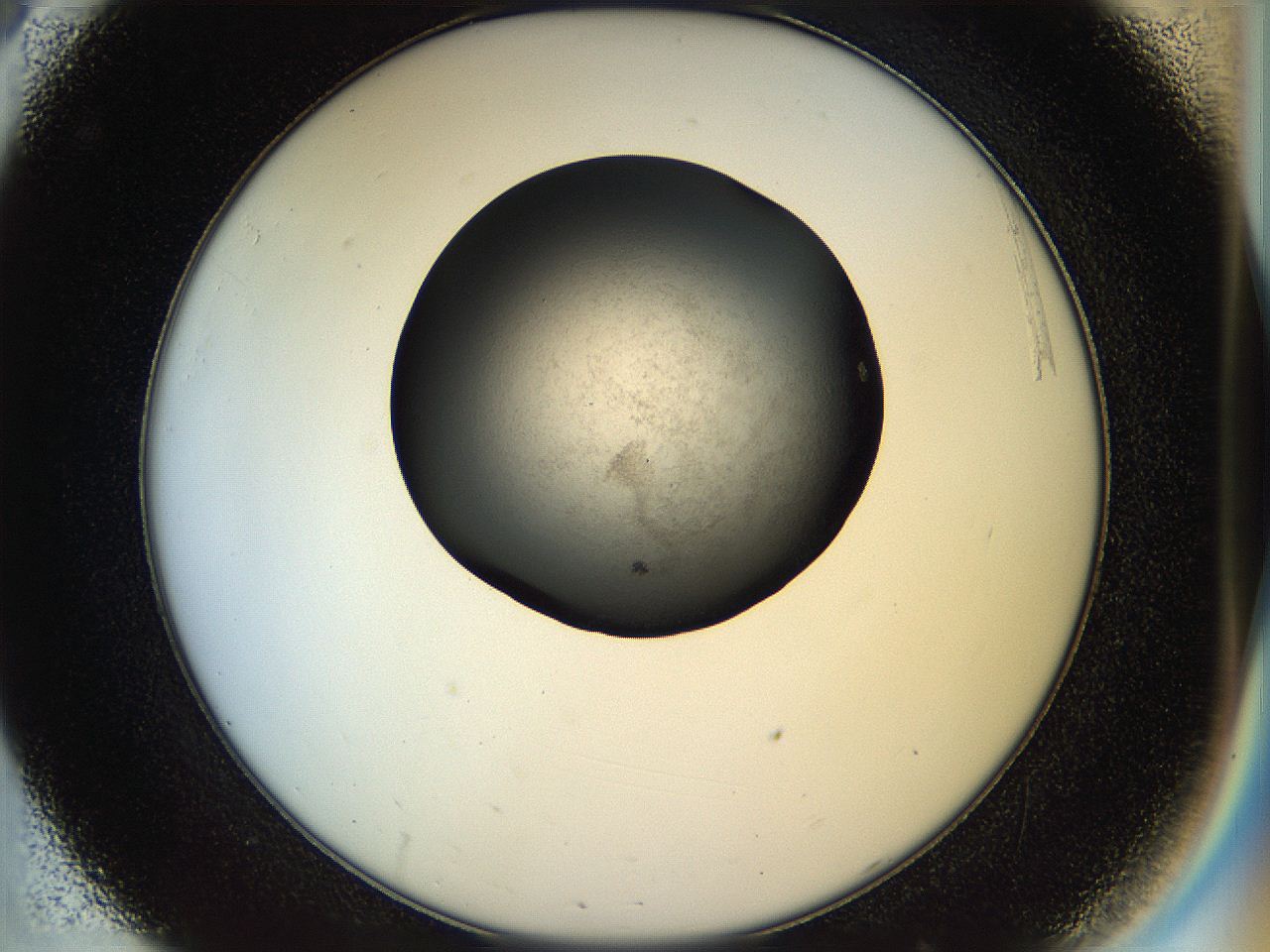 04rs_C8_ImagerDefaults_2.jpg