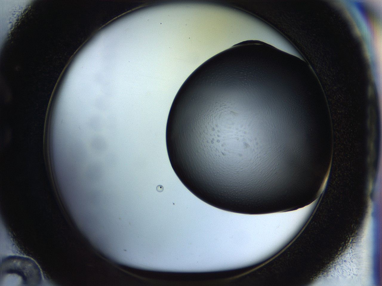 04rs_C12_ImagerDefaults_1.jpg