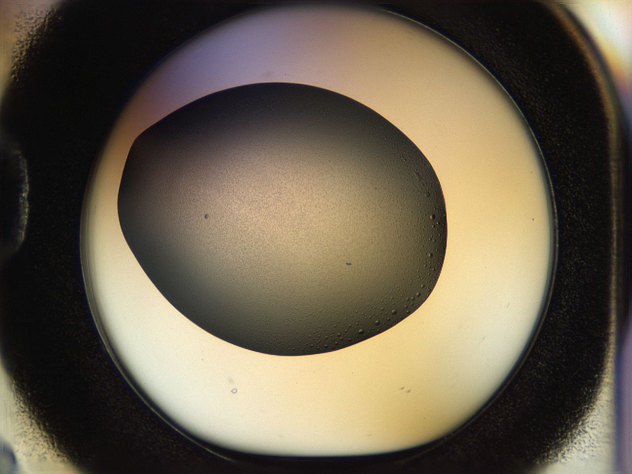 04rs_D2_ImagerDefaults_1.jpg