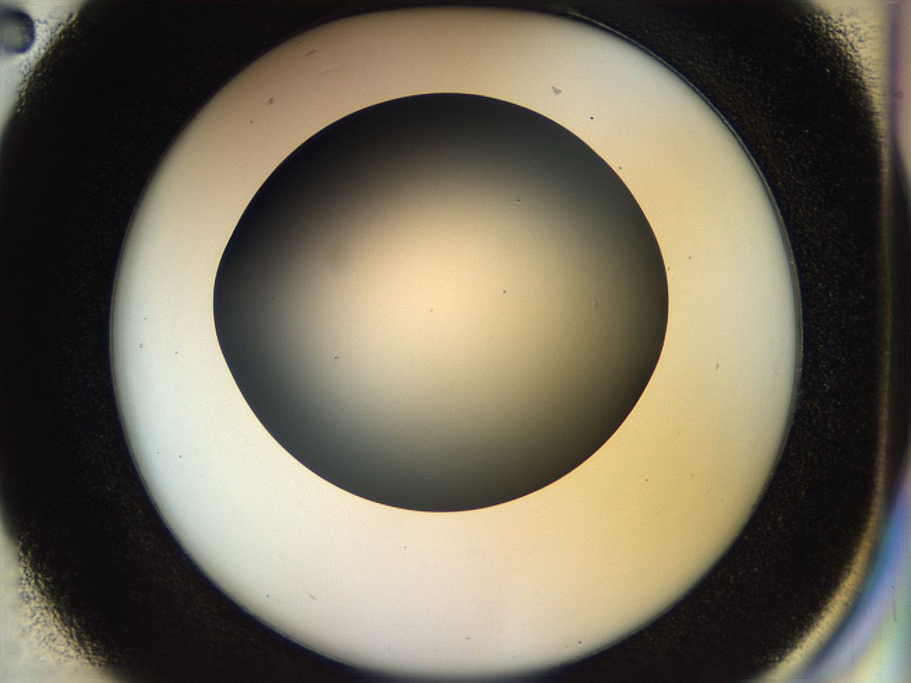 04rs_D2_ImagerDefaults_0.jpg