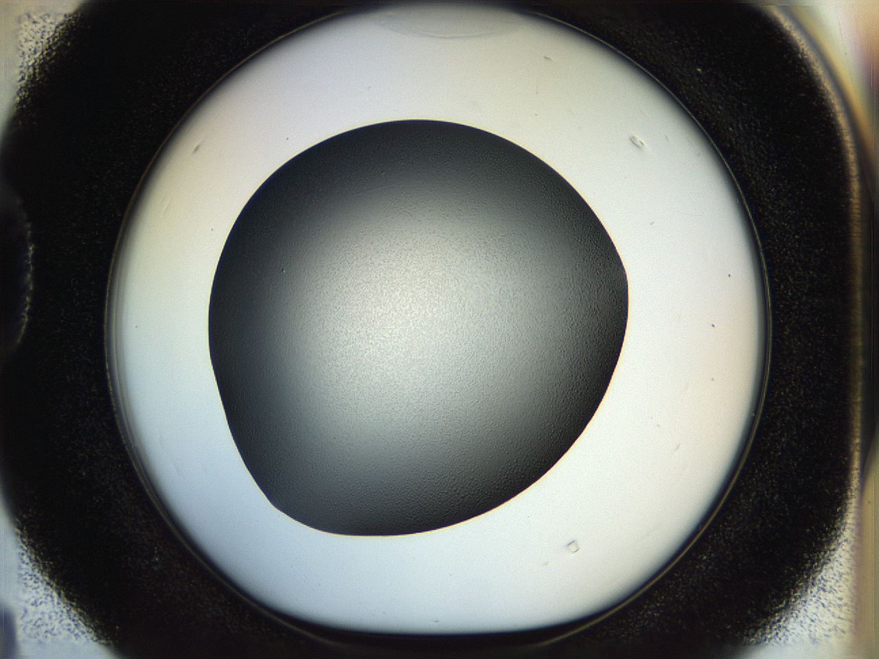 04rs_D4_ImagerDefaults_1.jpg