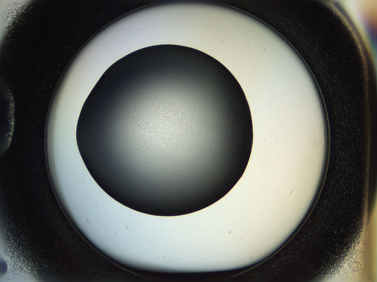 04rs_D5_ImagerDefaults_1.jpg
