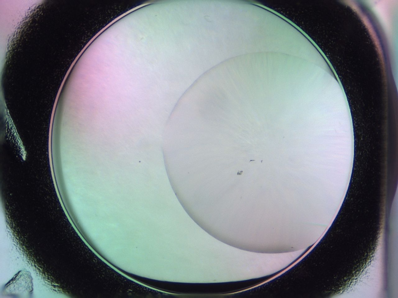 01dd_A11_ImagerDefaults_1.jpg