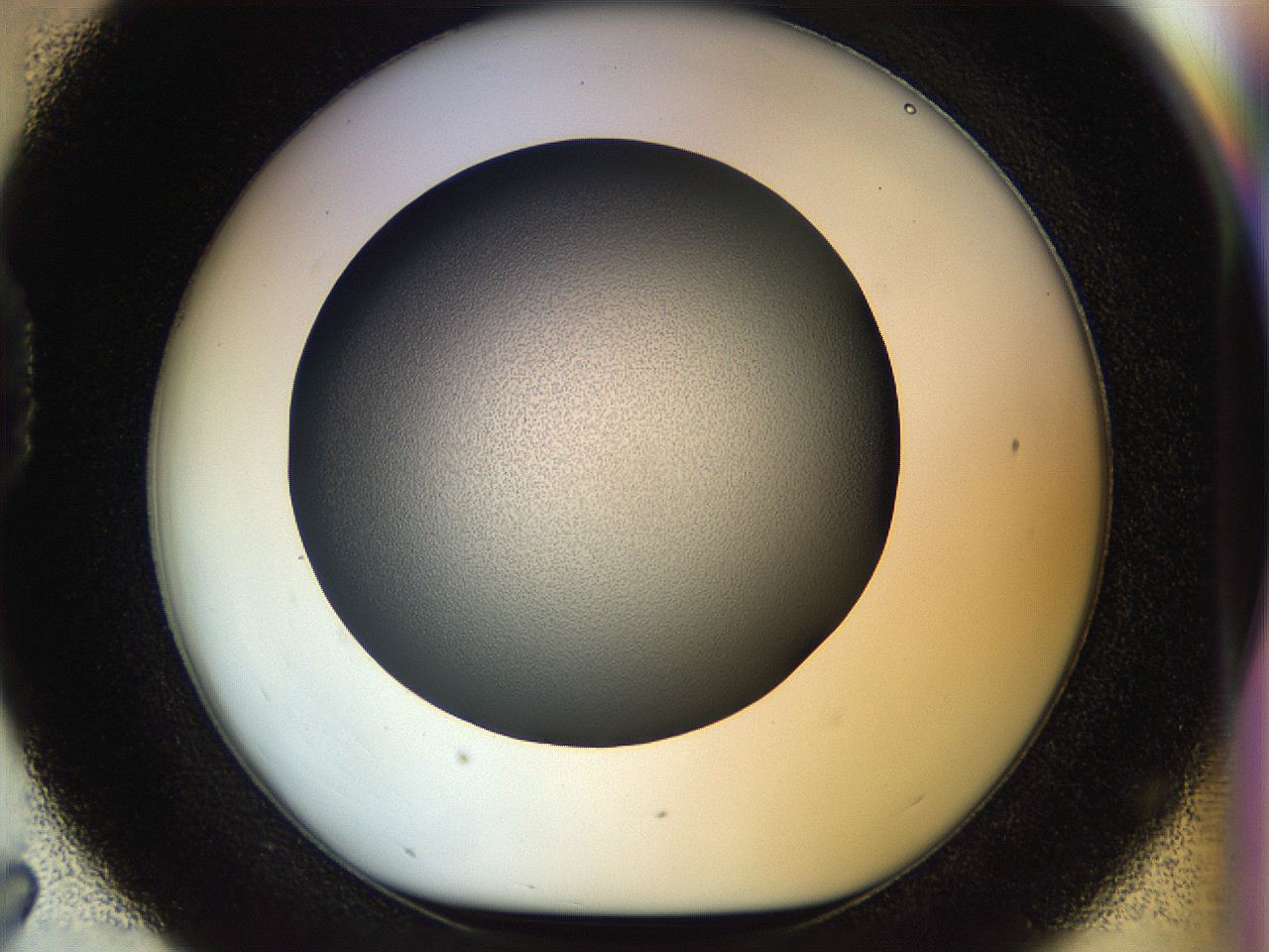 04rs_D7_ImagerDefaults_1.jpg