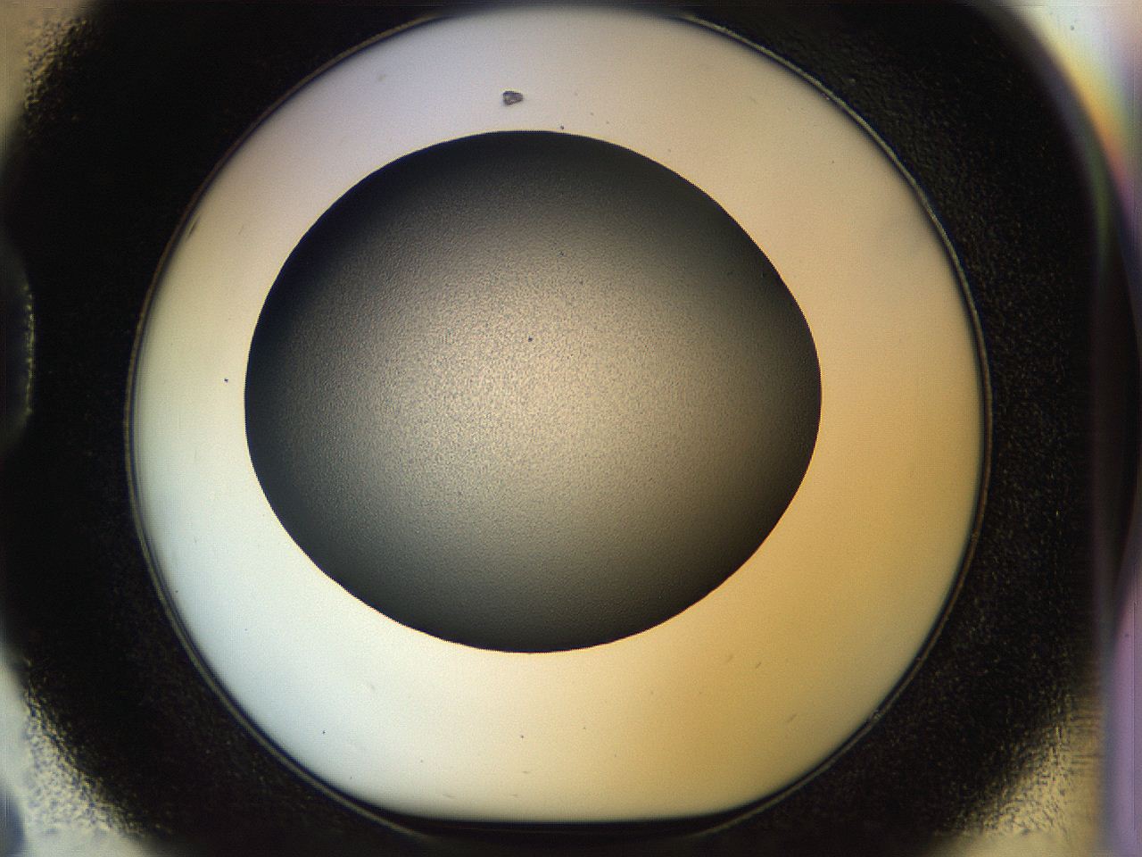 04rs_D8_ImagerDefaults_1.jpg