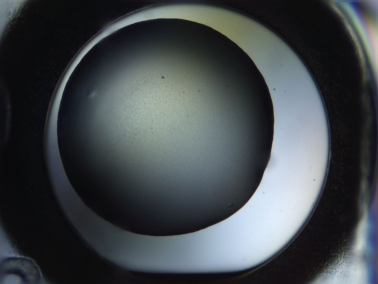 04rs_D12_ImagerDefaults_1.jpg