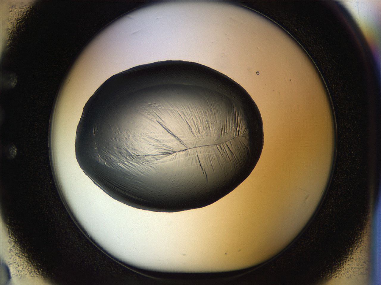 04rs_E3_ImagerDefaults_2.jpg